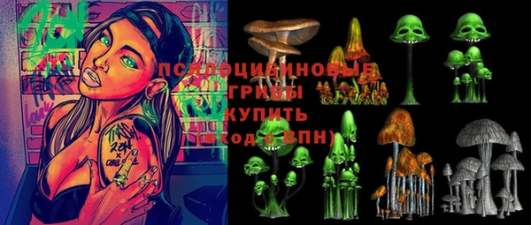 кокс Алексин