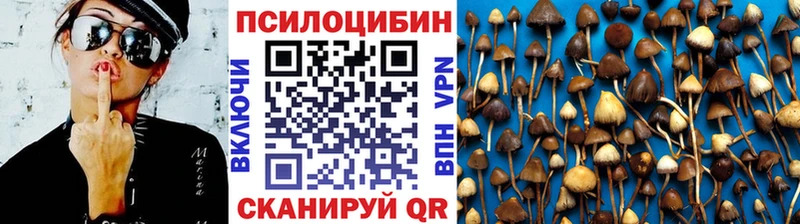 Псилоцибиновые грибы Psilocybe  Боровск 